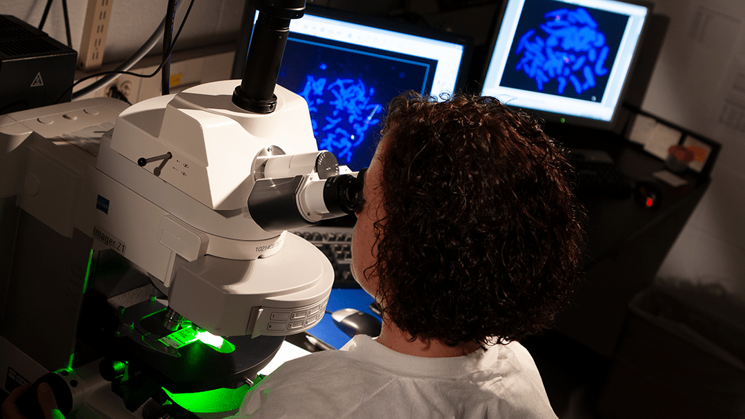 A lab worker looking in a microscope.
