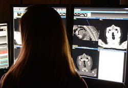 Looking at radiology image.