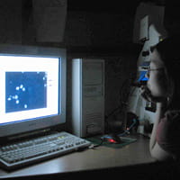 fluorescent microsocpy.