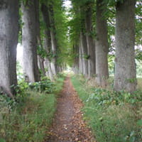 Roadside walkway outside Borstel