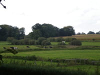 At the research center in Borstel you can relax in a more rural green of Germany.