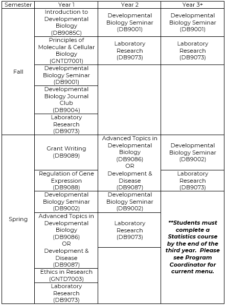 Curriculum MDB