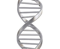 Researchers in this area are trying to better understand questions of development, function, and pathophysiology.