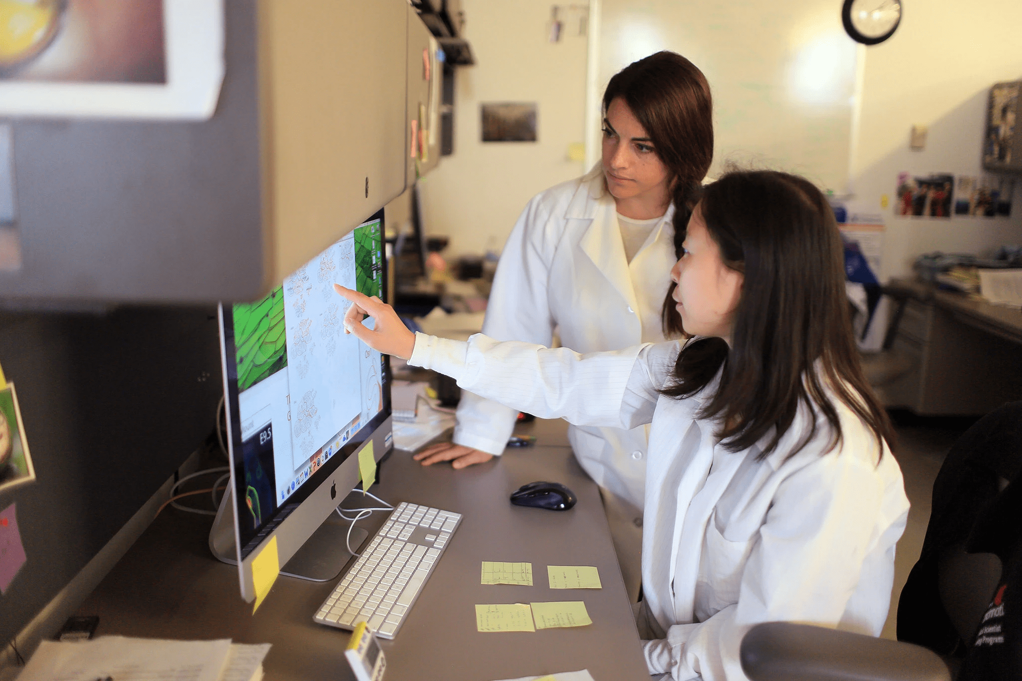 Postdoctoral fellows working on a project.