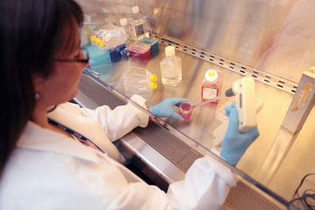 Stephanie Kortyka, a student in Dr. Clancy’s laboratory