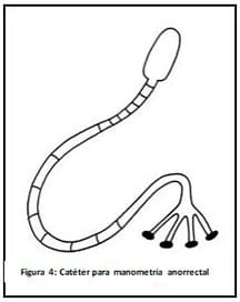 Figure 4 digestive system