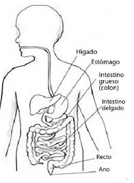 GI Endoscopy