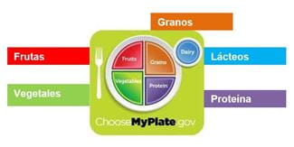 My plate.