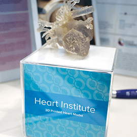 Model of 3D heart.