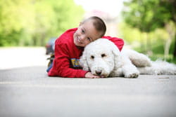 An image of a boy with Cincinnati Children's volunteer dog named Abby.