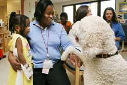 A photo of a volunteer dog named Abby with Child Life Assistant.