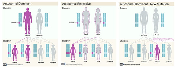 Stickler syndrome mutations.