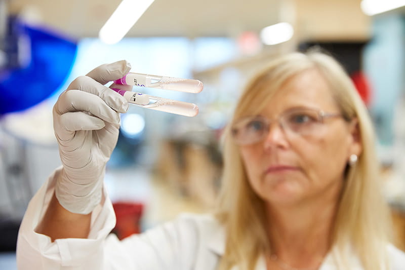 A photo of a researcher holding test tubes.