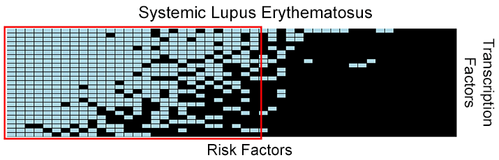 Systemic Lupus Erythematosus.