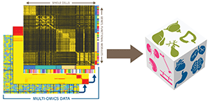 A supporting image for the pediatric cell atlas study.