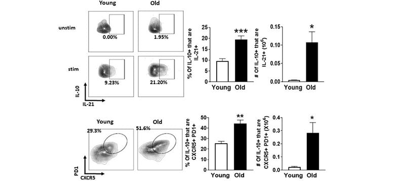 A chart for the vaccines in seniors study.