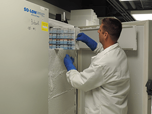 An image showing biospecimens being stored.