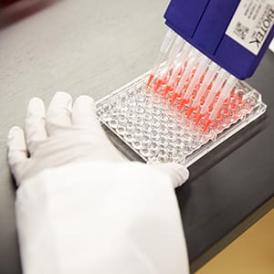 A photo of a scientist filling test tubes.