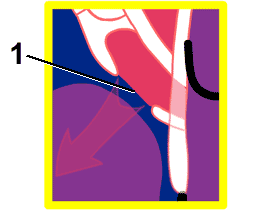 tasdc_1_2