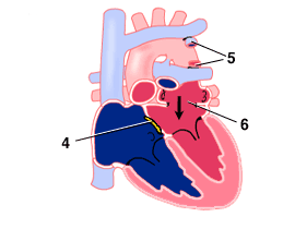 total_1_2