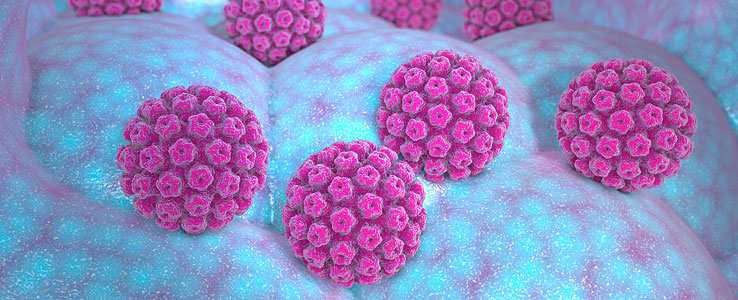 Common Vaccines And Diseases They Prevent Vaccine Resources