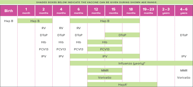 Recommended schedule of vaccinations.