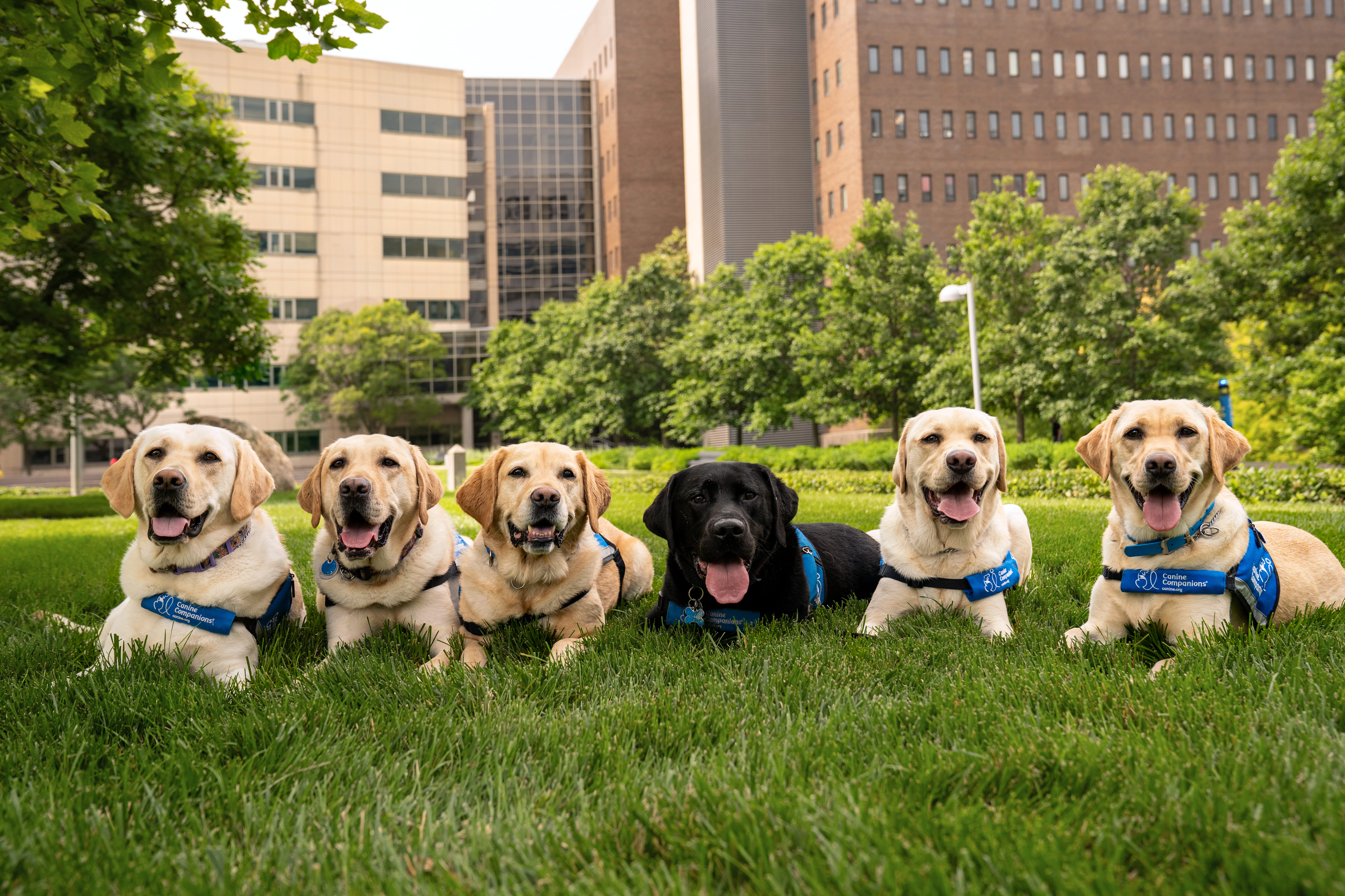 Facility Dogs at Cincinnati Children's.