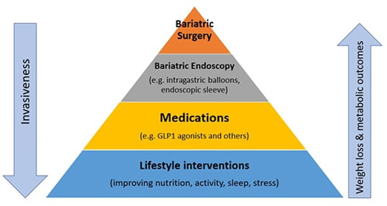 Diagram of obesity treatments.