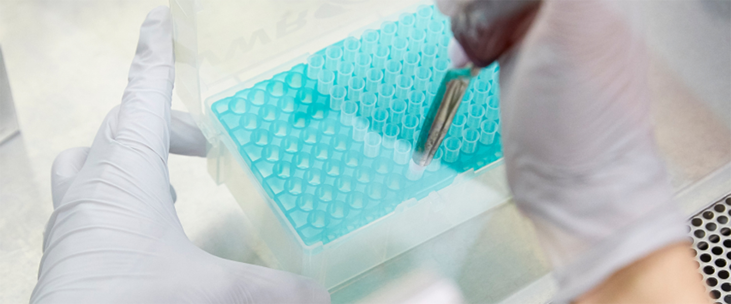 A scientist performs a laboratory procedure.