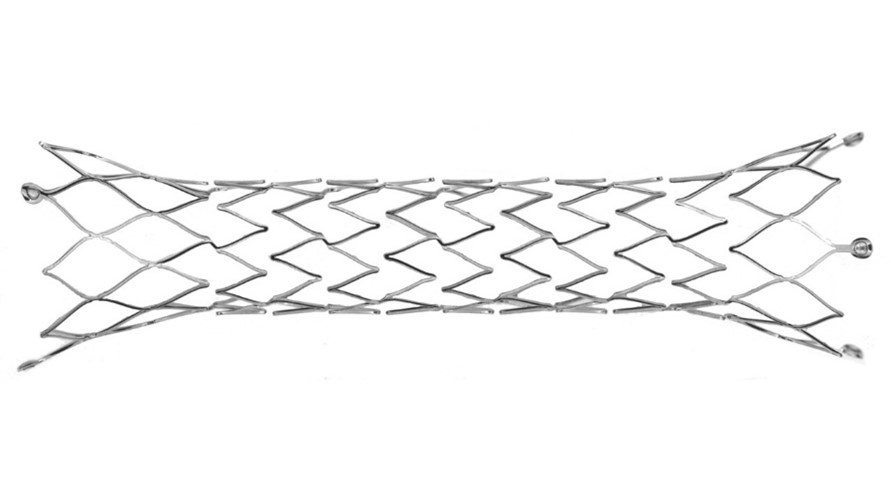 A photo of a stent.