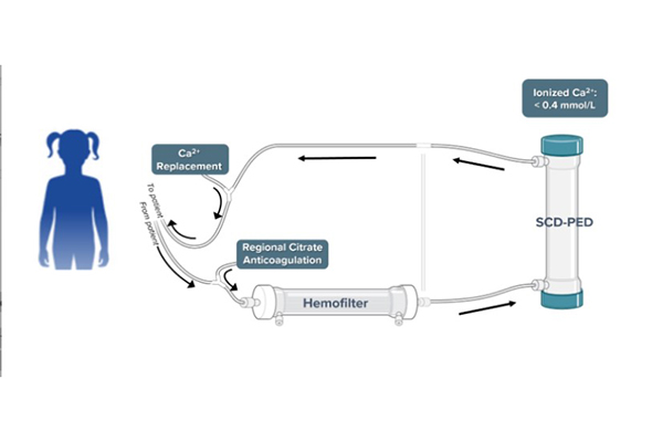 A diagram showing how the QUELIMMUNE device works.