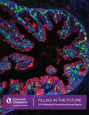 research annual report-visual1-300-RAR 2014