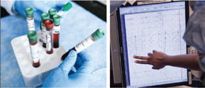 Featured research image.