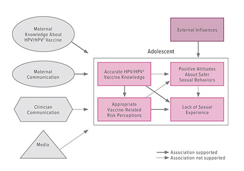 Fig A:  This diagram demonstrates the factors that affect accurate adolescent knowledge about human papilloma virus (HPV), the HPV vaccine, and vaccine-related risk perceptions.