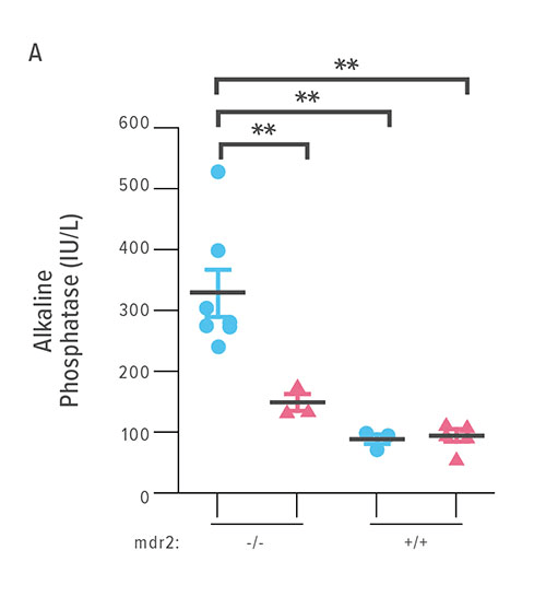 Fig A: This chart compares ALP levels in four groups of mice. Body weights were recorded throughout the 14 days of intervention. ALP levels were determined on blood sampled by cardiocentesis on DOT 14.