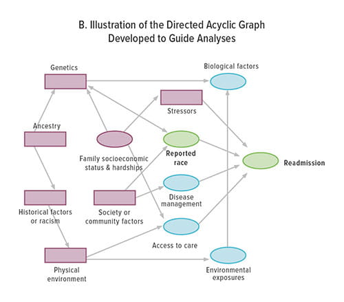Fig B The light blue ovals indicate variables thought to be directly associated with readmission; pink oval, patient, parent, and family factors thought to be directly associated with race and certain variables; pink rectangles, unavailable or unmeas-ured variables thought to be associated with race or readmission; and green ovals, reported race is the primary predictor or exposure variable and time to first asthma-related readmission is the outcome of interest.