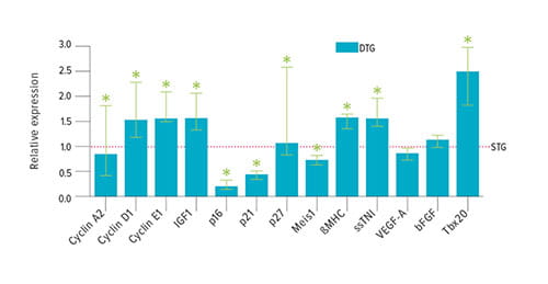 Fig 2E: This chart, based on mRNA isolated from mouse heart tissue, shows the important role of Tbx20 relative to the ex-pression of other fetal contractile proteins, cell-cycle activators and inhibitors.