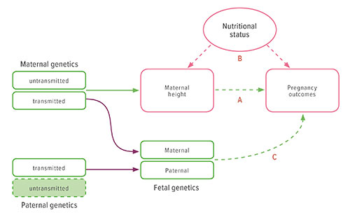 Fig A:  Conceptual model depicting key elements of the family's experience with the hospital-to-home transition.
