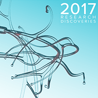 An image of the Research Annual Report cover.