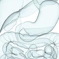 An illustration of a stomach.