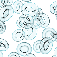 An illustration of red blood cells.