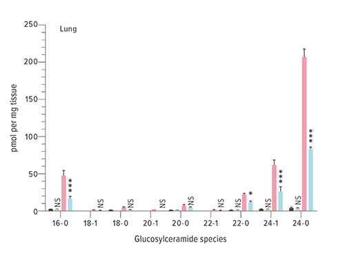This graphic details the glucosylceramide species found in the lung tissues of wild-type mice and of those bred to express selected gene variants. Wild type mice data shown in black; C5ar1−/− mice in green; Gba19V− mice in red; and C5ar1− mice in blue.