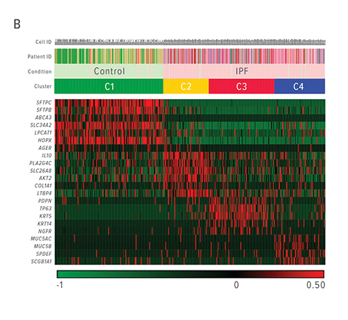 This heat map represents the expression of distinct RNAs that identify each of the four cell types.