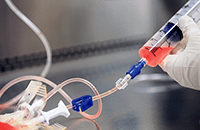 A photo in the Cell Manipulations Laboratory.