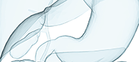 An illustration of a stomach.