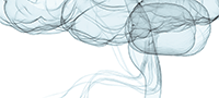 An illustration of a brain.