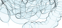 An illustration of a intestine.