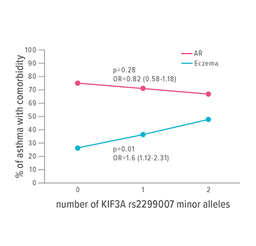 An image showing the percentage of all asthmatic children who also had co-morbid eczema or allergic rhinitis.