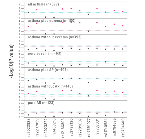 An image showing the associations between tagging single nucleotide polymorphisms in the KIF3A gene and allergic phenotypes compared to non-allergic controls.