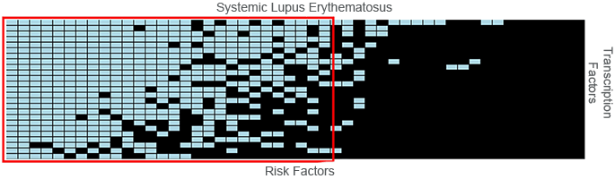 An image showing intersections between known gene risk loci and transcription factor binding interactions.